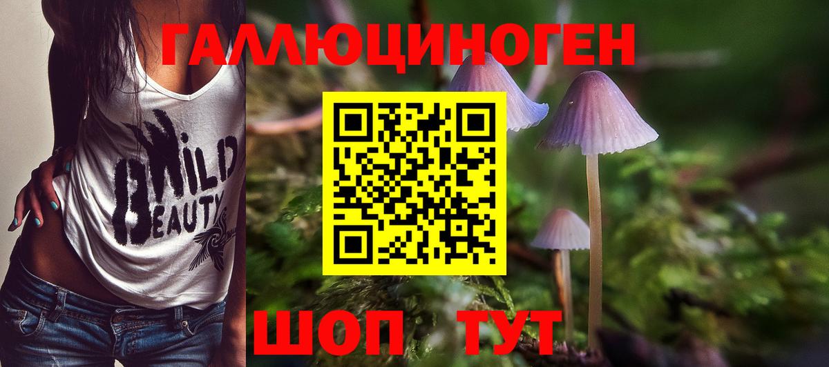 Псилоцибиновые грибы MAGIC MUSHROOMS  Псилоцибиновые грибы Cubensis  Вход с VPN  Жуковский 